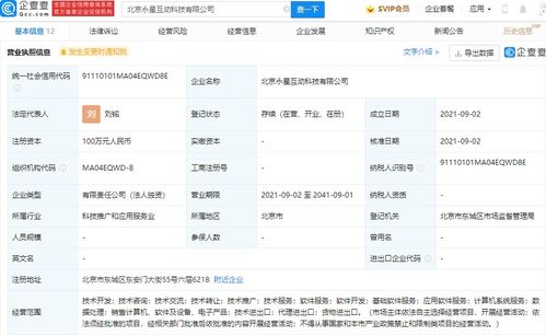 深圳計算機(jī)系統(tǒng)服務(wù) 數(shù)字時代的創(chuàng)新引擎與產(chǎn)業(yè)支柱